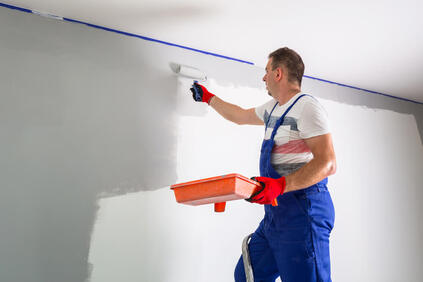One of our shop painters in blue overalls painting a grey feature wall in a small ladder